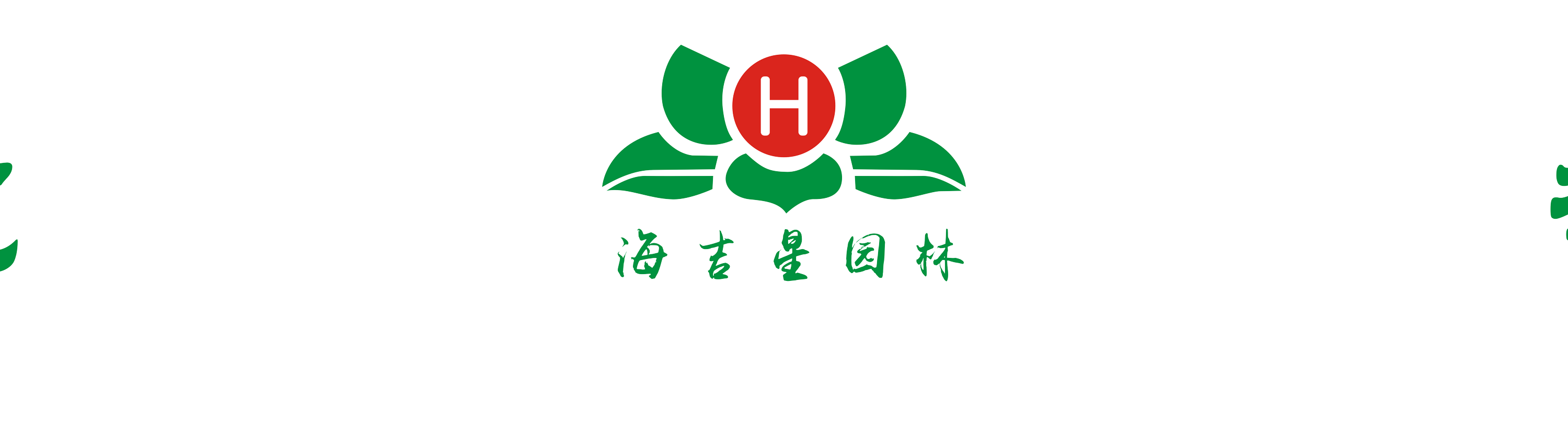 海吉星logo3.gif