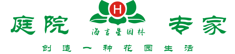 海吉星logo.png